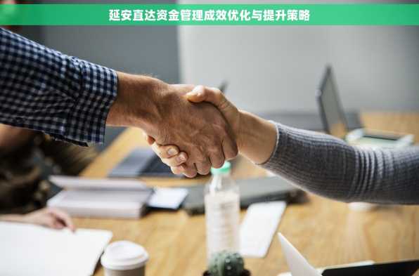 延安直达资金管理成效优化与提升策略