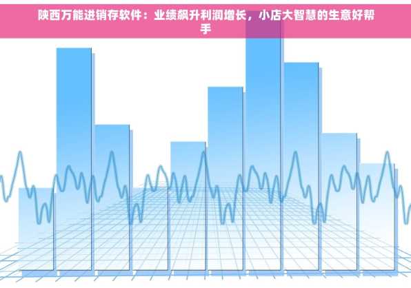 陕西万能进销存软件：业绩飙升利润增长，小店大智慧的生意好帮手