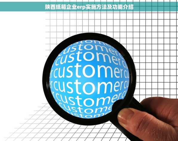 陕西纸箱企业erp实施方法及功能介绍