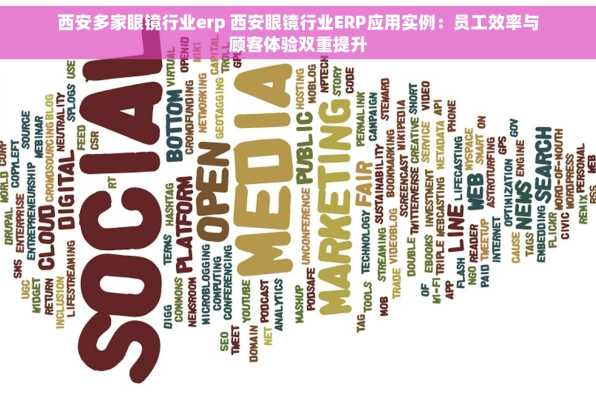 西安多家眼镜行业erp 西安眼镜行业ERP应用实例：员工效率与顾客体验双重提升