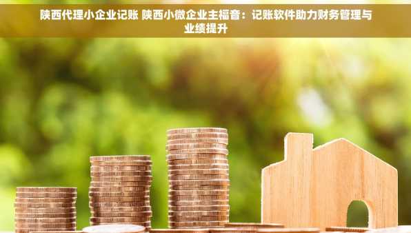 陕西代理小企业记账 陕西小微企业主福音：记账软件助力财务管理与业绩提升