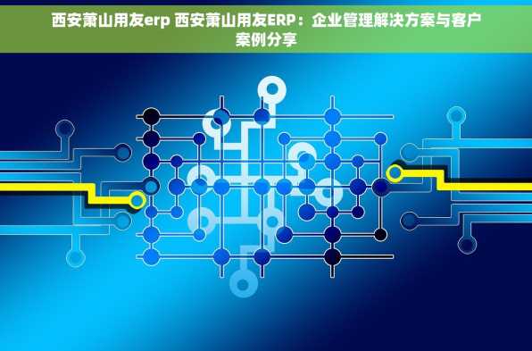 西安萧山用友erp 西安萧山用友ERP：企业管理解决方案与客户案例分享