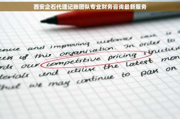 西安企石代理记账团队专业财务咨询最新服务