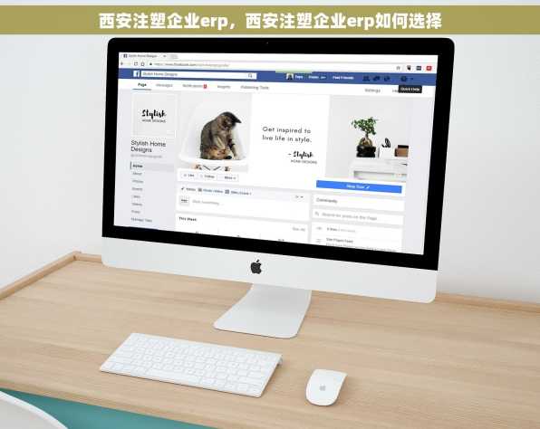 西安注塑企业erp，西安注塑企业erp如何选择
