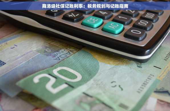 商洛级社保记账利率：税务规划与记账指南