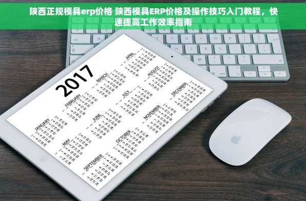 陕西正规模具erp价格 陕西模具ERP价格及操作技巧入门教程，快速提高工作效率指南