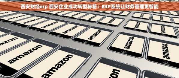 西安财经erp 西安企业成功转型秘籍：ERP系统让财务管理更智能