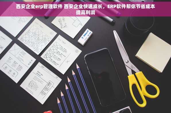西安企业erp管理软件 西安企业快速成长，ERP软件帮你节省成本提高利润