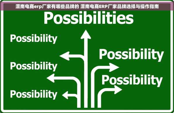 渭南电商erp厂家有哪些品牌的 渭南电商ERP厂家品牌选择与操作指南