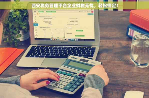 西安税务管理平台企业财税无忧，轻松搞定！