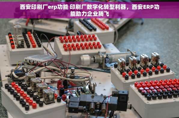 西安印刷厂erp功能 印刷厂数字化转型利器，西安ERP功能助力企业腾飞