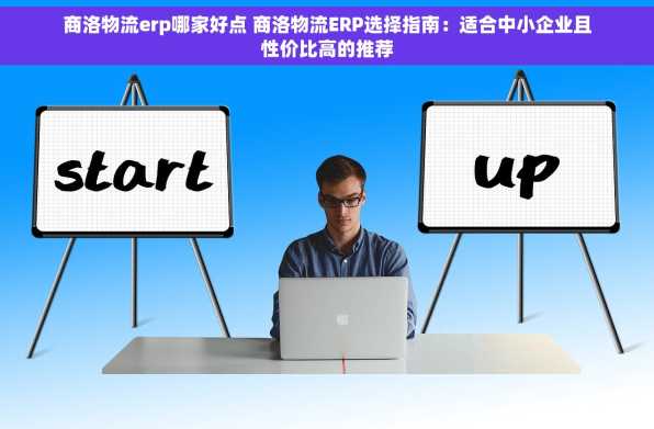 商洛物流erp哪家好点 商洛物流ERP选择指南：适合中小企业且性价比高的推荐