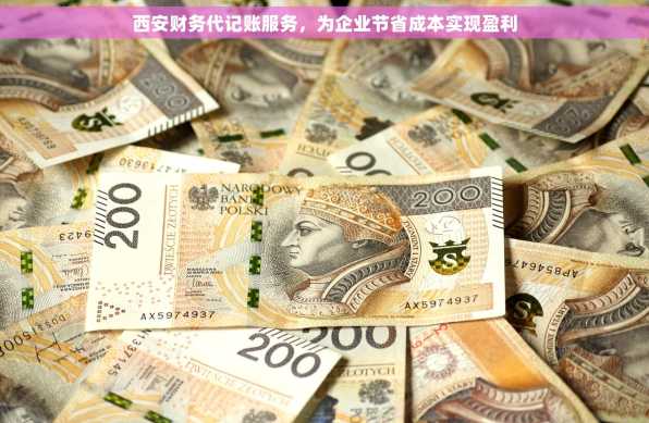 西安财务代记账服务，为企业节省成本实现盈利