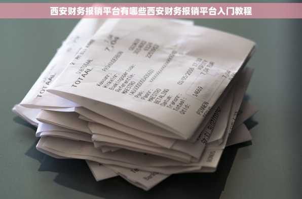 西安财务报销平台有哪些西安财务报销平台入门教程