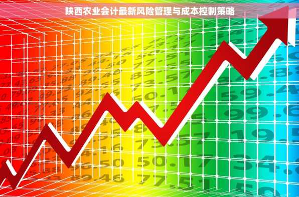 陕西农业会计最新风险管理与成本控制策略