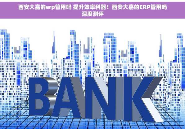 西安大嘉的erp管用吗 提升效率利器！西安大嘉的ERP管用吗深度测评