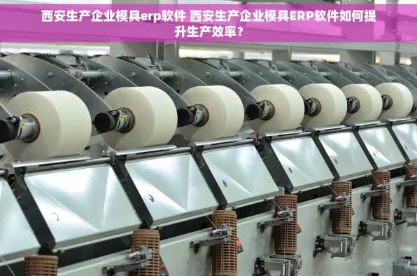西安生产企业模具erp软件 西安生产企业模具ERP软件如何提升生产效率？