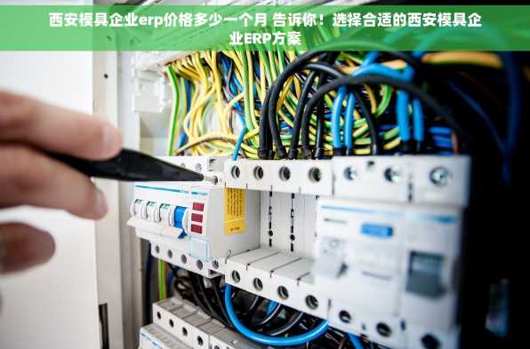 西安模具企业erp价格多少一个月 告诉你！选择合适的西安模具企业ERP方案