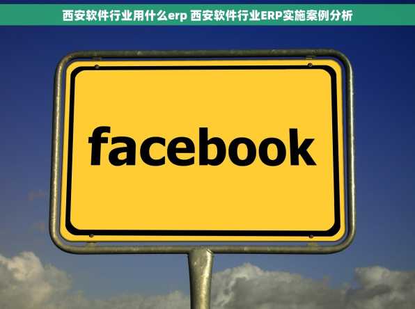 西安软件行业用什么erp 西安软件行业ERP实施案例分析