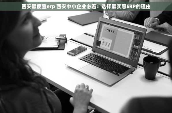 西安最便宜erp 西安中小企业必看：选择最实惠ERP的理由