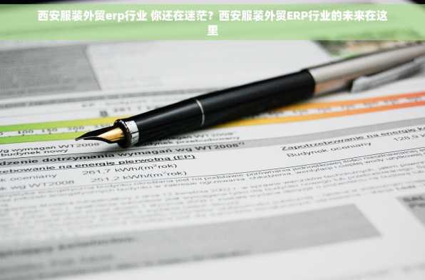 西安服装外贸erp行业 你还在迷茫？西安服装外贸ERP行业的未来在这里