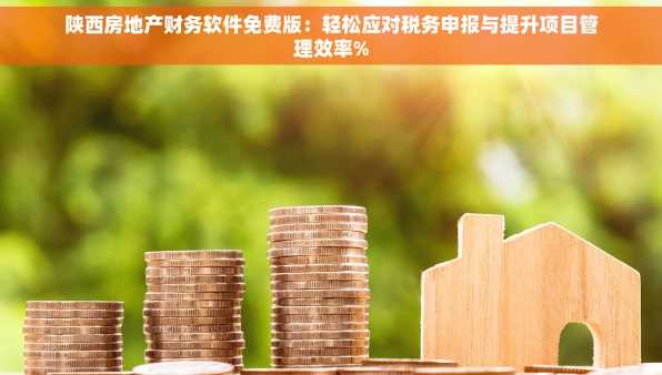 陕西房地产财务软件免费版：轻松应对税务申报与提升项目管理效率%
