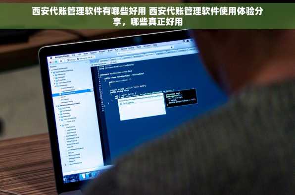 西安代账管理软件有哪些好用 西安代账管理软件使用体验分享，哪些真正好用