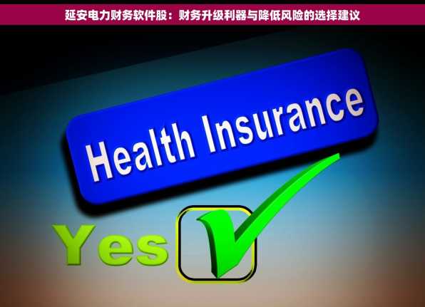 延安电力财务软件股：财务升级利器与降低风险的选择建议