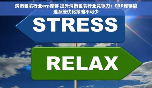 渭南包装行业erp库存 提升渭南包装行业竞争力：ERP库存管理系统优化策略不可少