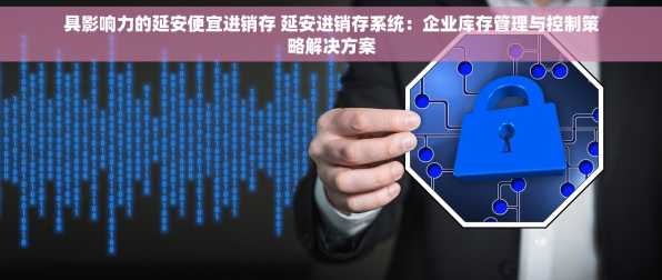 具影响力的延安便宜进销存 延安进销存系统：企业库存管理与控制策略解决方案