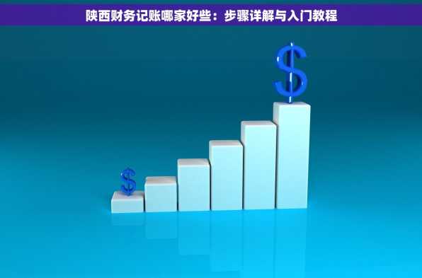 陕西财务记账哪家好些：步骤详解与入门教程