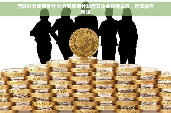 西安财务专项审计 财务专项审计助西安企业稳健发展，远离税务风险