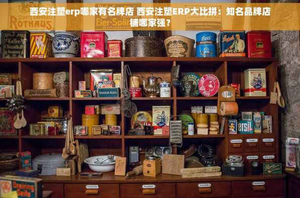 西安注塑erp哪家有名牌店 西安注塑ERP大比拼：知名品牌店铺哪家强？