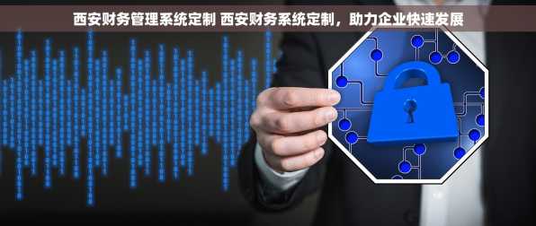 西安财务管理系统定制 西安财务系统定制，助力企业快速发展