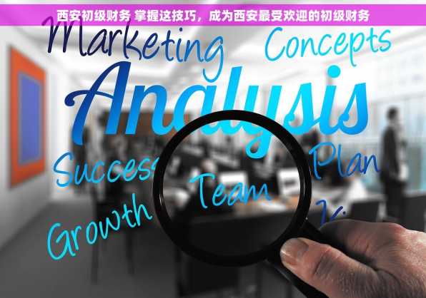 西安初级财务 掌握这技巧，成为西安最受欢迎的初级财务
