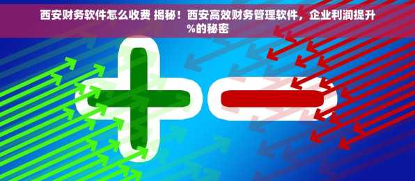 西安财务软件怎么收费 揭秘！西安高效财务管理软件，企业利润提升%的秘密