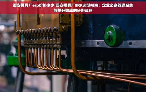 西安模具厂erp价格多少 西安模具厂ERP选型指南：企业必备管理系统与提升效率的秘密武器