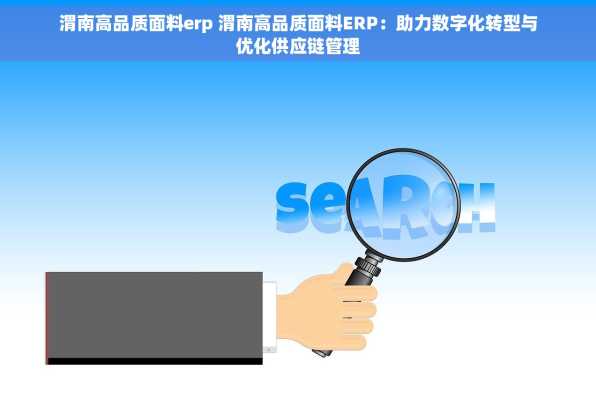 渭南高品质面料erp 渭南高品质面料ERP：助力数字化转型与优化供应链管理