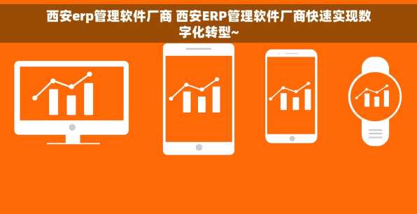 西安erp管理软件厂商 西安ERP管理软件厂商快速实现数字化转型~