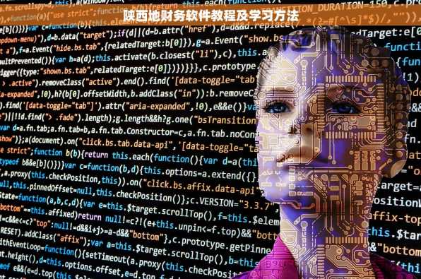 陕西地财务软件教程及学习方法