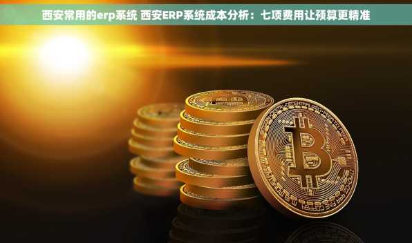西安常用的erp系统 西安ERP系统成本分析：七项费用让预算更精准
