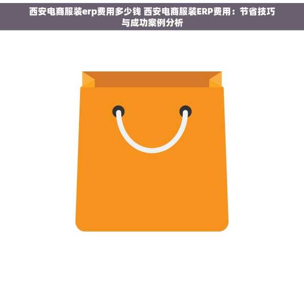 西安电商服装erp费用多少钱 西安电商服装ERP费用：节省技巧与成功案例分析