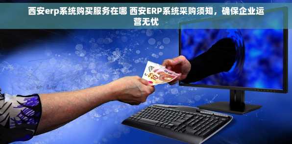 西安erp系统购买服务在哪 西安ERP系统采购须知，确保企业运营无忧