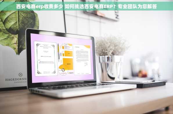 西安电商erp收费多少 如何挑选西安电商ERP？专业团队为您解答