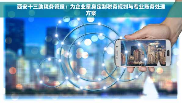 西安十三助税务管理：为企业量身定制税务规划与专业账务处理方案