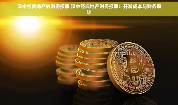 汉中经典地产的财务报表 汉中经典地产财务报表：开发成本与财务审计