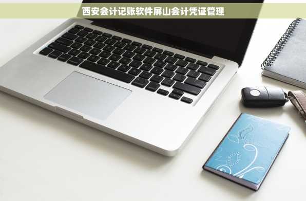 西安会计记账软件屏山会计凭证管理
