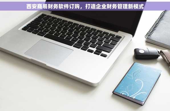 西安商易财务软件订购，打造企业财务管理新模式