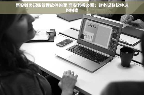 西安财务记账管理软件购买 西安老板必看：财务记账软件选购指南