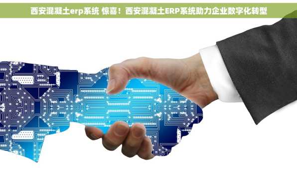 西安混凝土erp系统 惊喜！西安混凝土ERP系统助力企业数字化转型